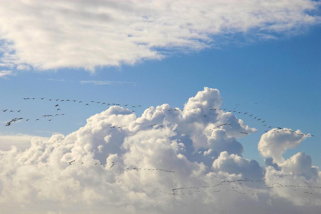Cloud Migration Illustration